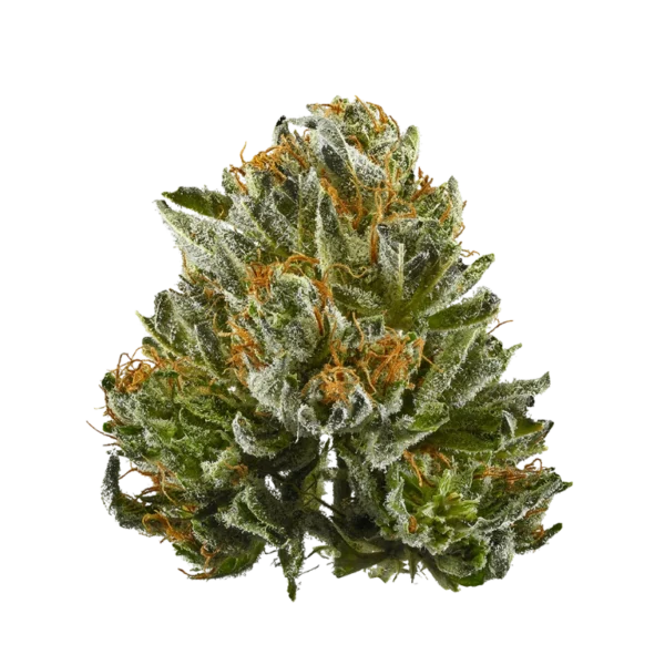 The Bubba Man | 2g | Hybrid | Hidden Hills - Image 2