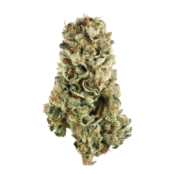 Cherry Pie | 1g | Sativa | Curevana - Image 2