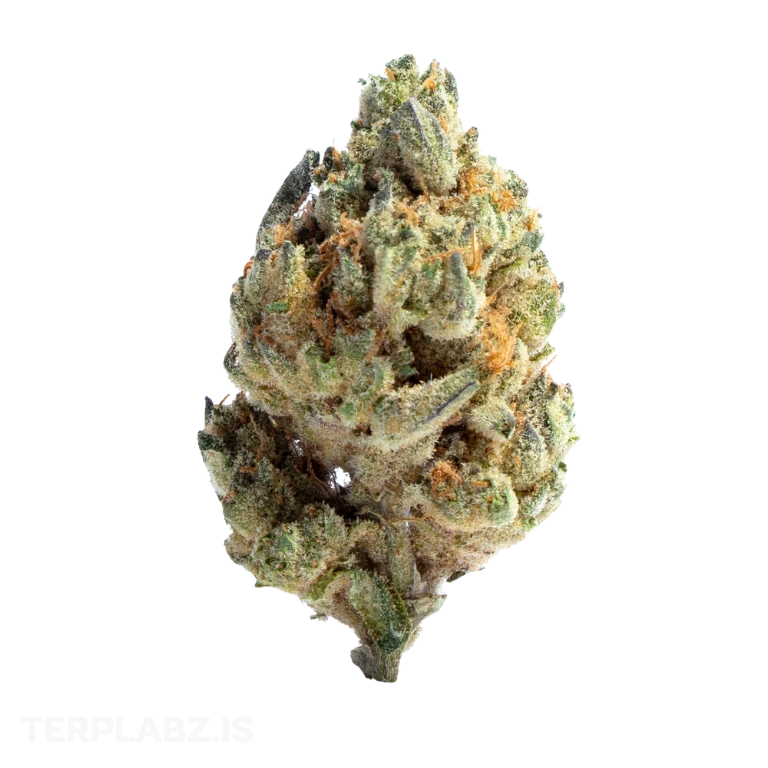 Limey Znow Conez | 2g | Sativa | Hidden Hills 2 Limey Znow Conez | 2g | Sativa | Hidden Hills - Image 2