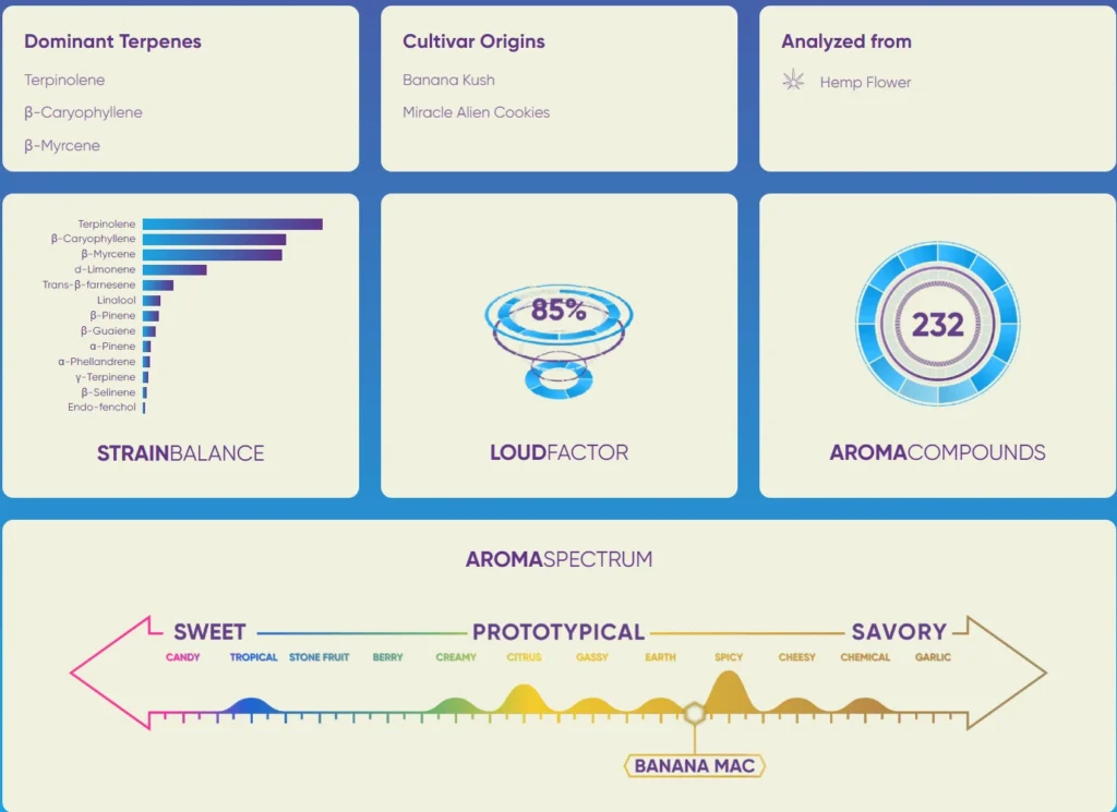 Banana Mac | Δ9 Live Resin | Hybrid | TERPLABZ 7 banana mac 1